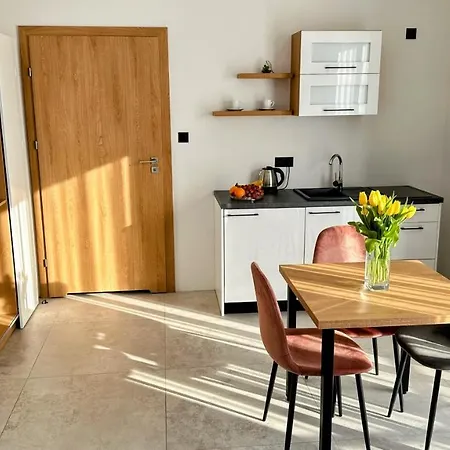 Bursztynowa Rosa&wypożyczalnia Rowerów Elektrycznych Łeba